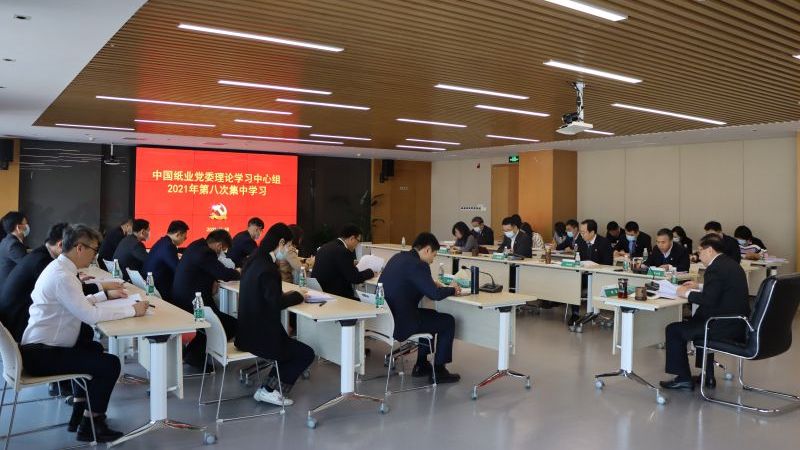 中國紙業(yè)黨委深入學習貫徹黨的十九屆六中全會精神