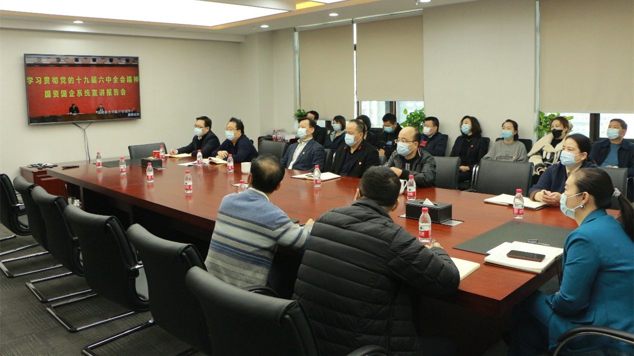 誠通國貿黨委認真學習貫徹十九屆六中全會精神