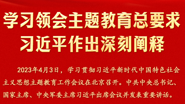 學(xué)習(xí)領(lǐng)會(huì)主題教育總要求 習(xí)近平作出深刻闡釋